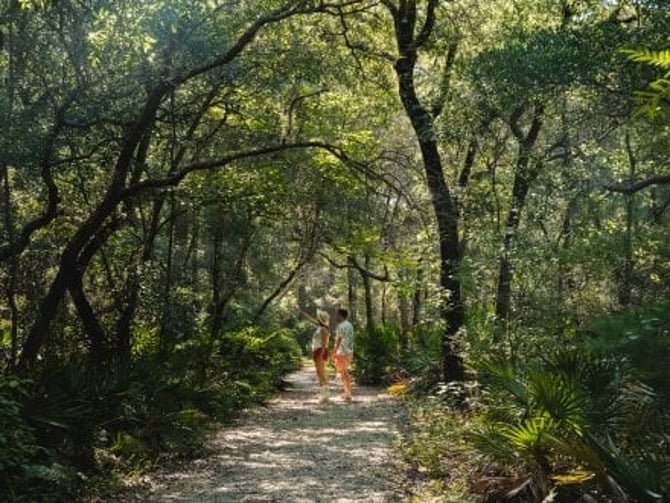 Bon Secour National Wildlife Refuge
